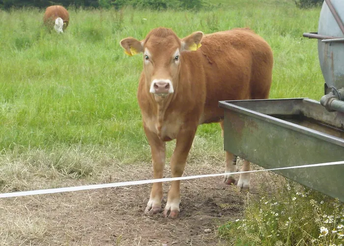 Pummpaelzhof * Бад-Зальцунген